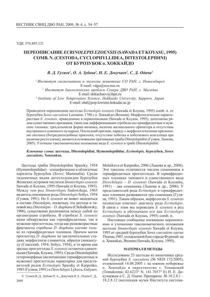 Pdf Revised Description Of Ecrinolepis Ezoensis Sawada Et Koyasu 1995 Comb N Cestoda Cyclophyllidea Ditestolepidini In Shrews From Hokkaido Japan In Russian