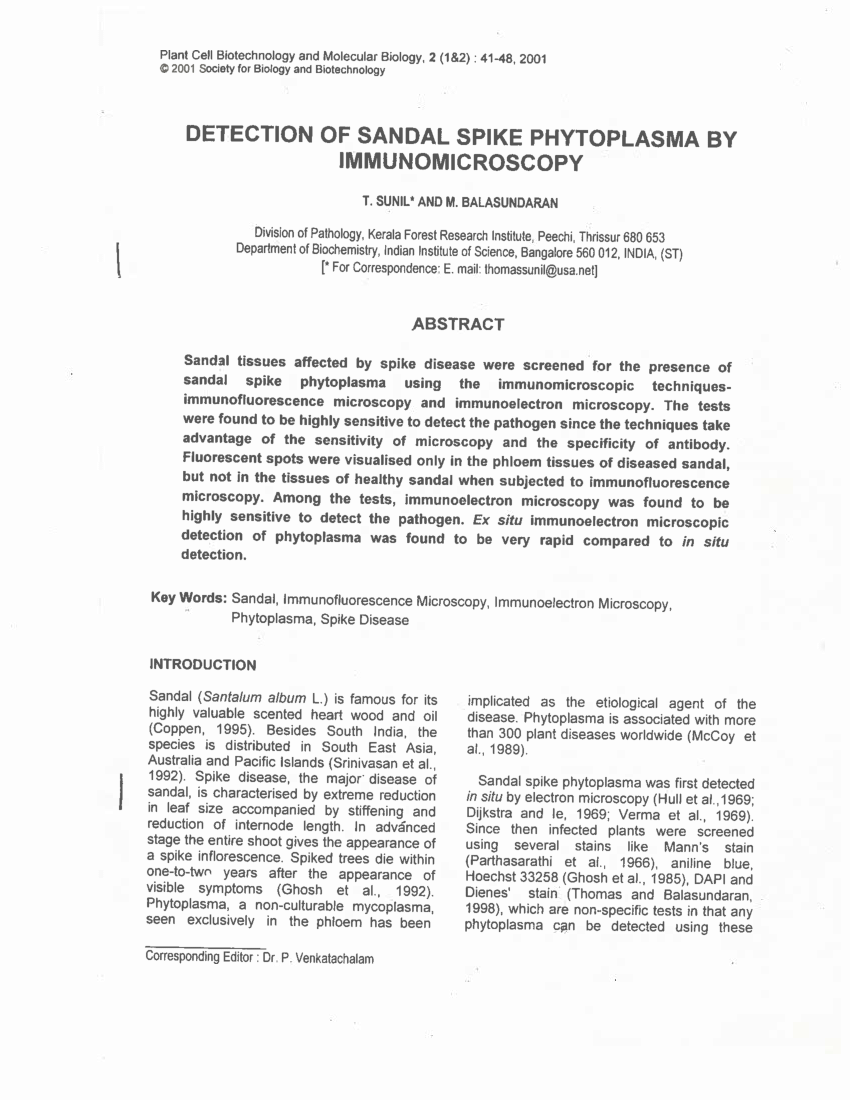 Detection of sandal spike phytoplasma using immunological and molecular  techniques | Semantic Scholar
