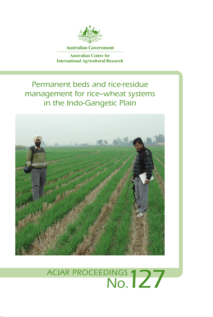 Pdf Wheat Maize Rice Cropping On Permanent Raised Beds In Bangladesh