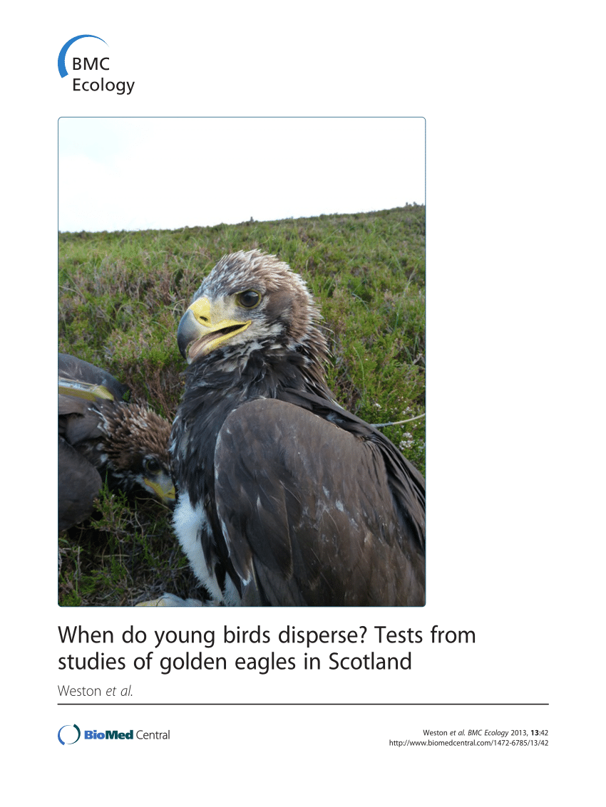 Pdf When Do Young Birds Disperse Tests From Studies Of