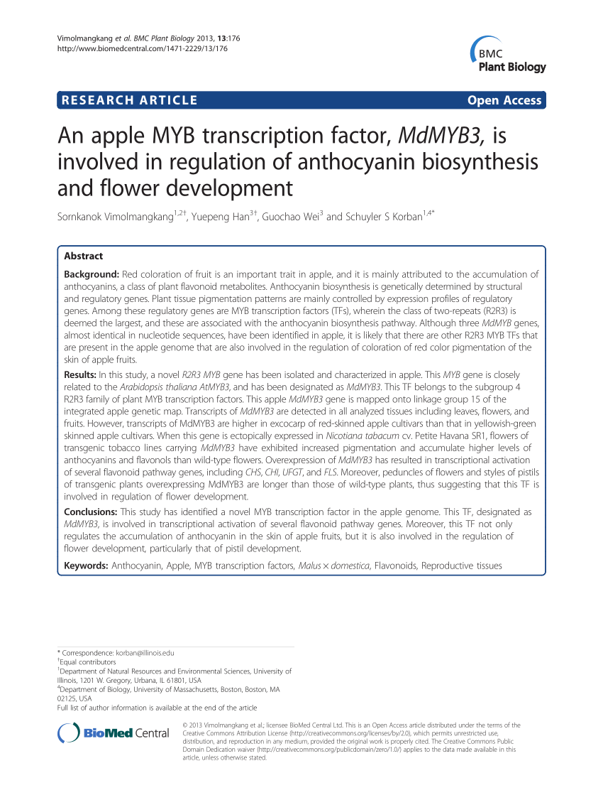 download the last version for apple Transcribe 9.30.2