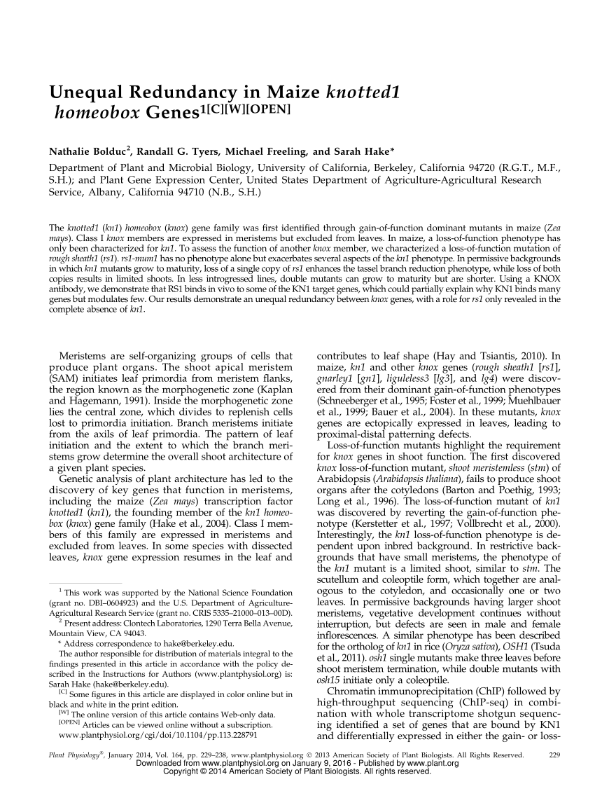 Pdf Unequal Redundancy In Maize Knotted1 Homeobox Genes