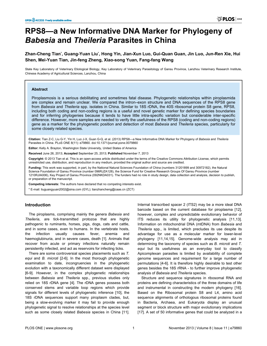 Pdf Rps8âa New Informative Dna Marker For Phylogeny Of - 