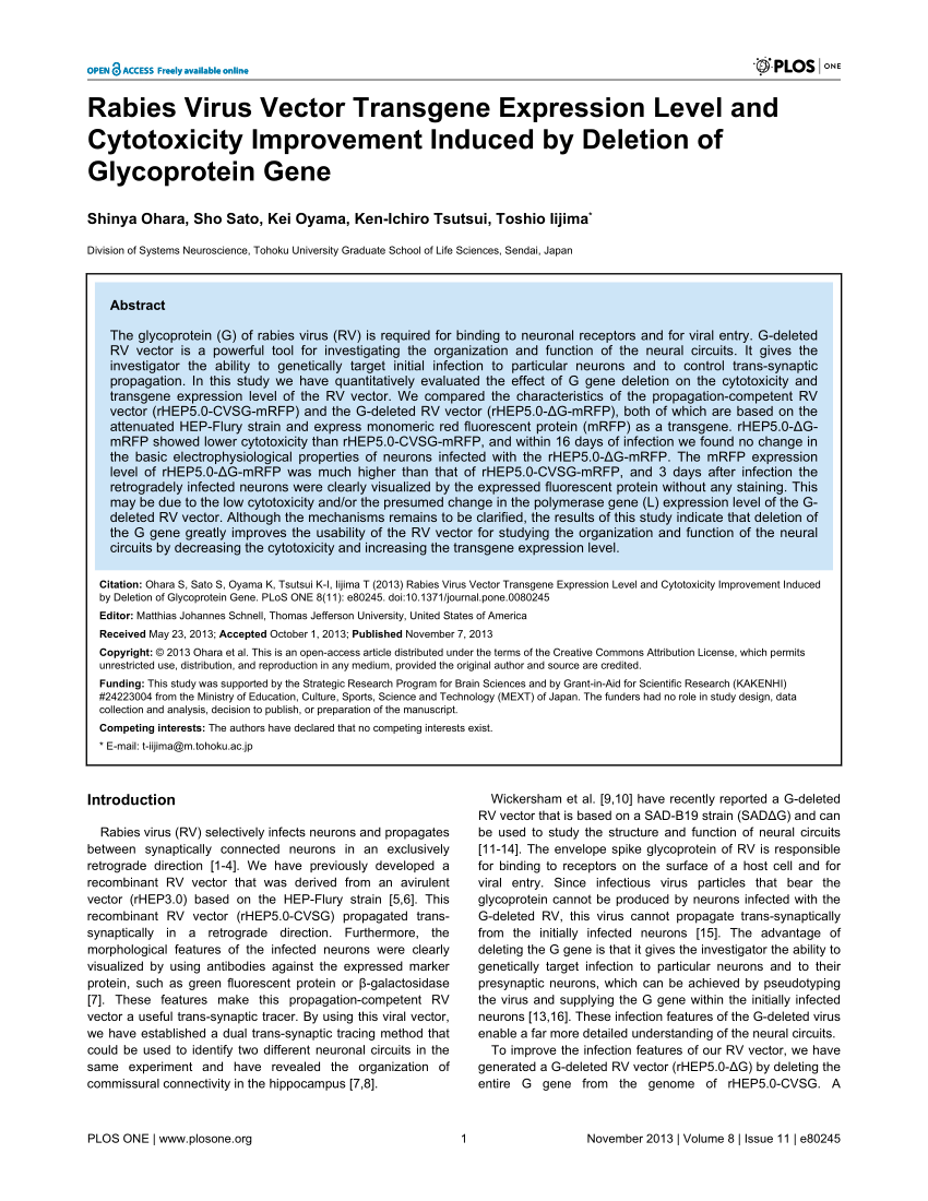 (PDF) Rabies Virus Vector Transgene Expression Level and Cytotoxicity