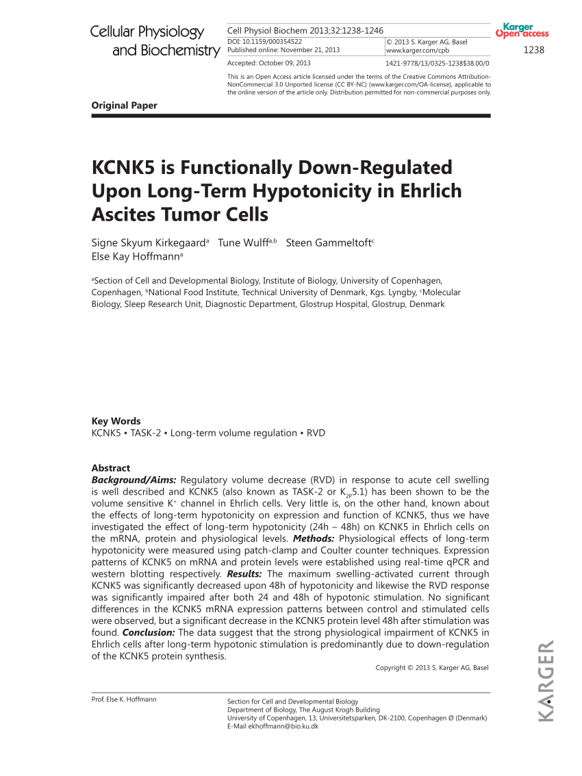 PDF) KCNK5 Down-Regulated Upon Long-Term in Ehrlich Ascites Tumor Cells