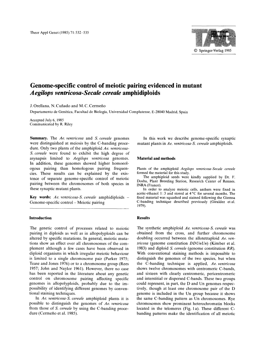 Pdf Genome Specific Control Of Meiotic Pairing Evidenced In Mutant Aegilops Ventricosa Secale Cereale Amphidiploids