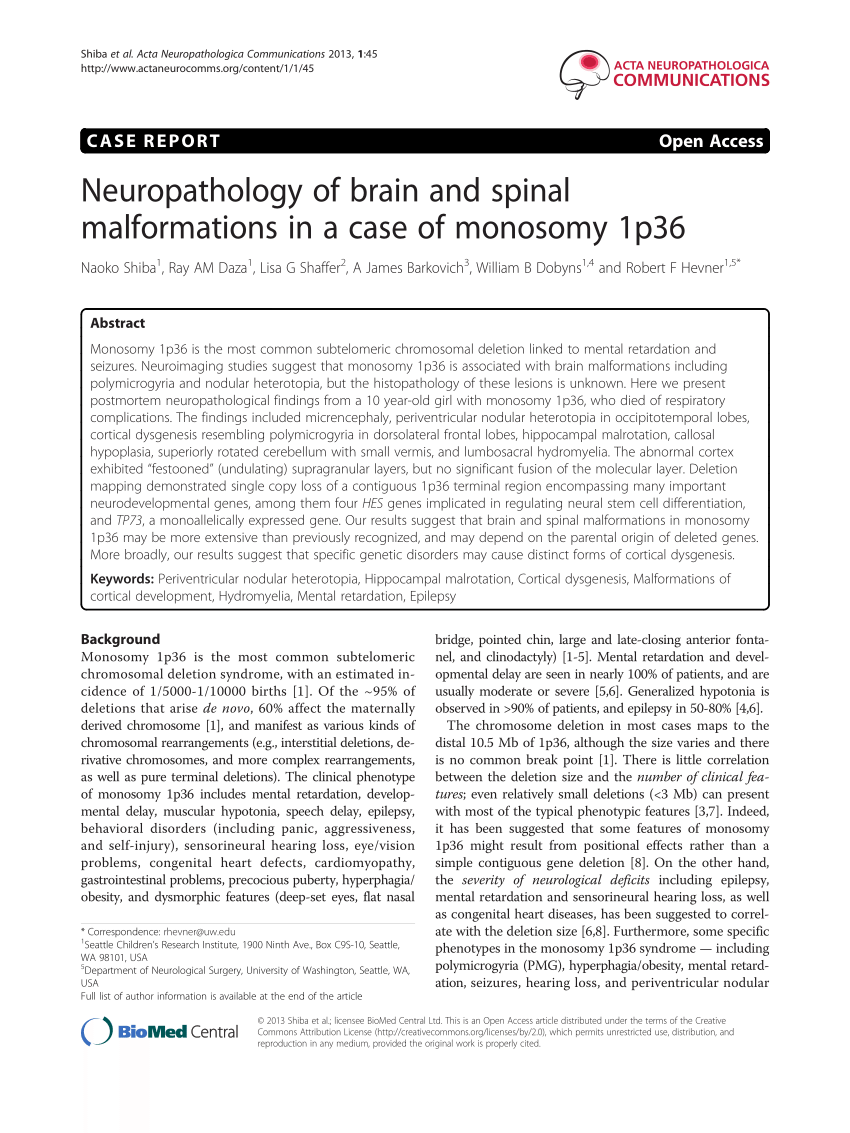 (PDF) Neuropathology of brain and spinal malformations in a case of ...