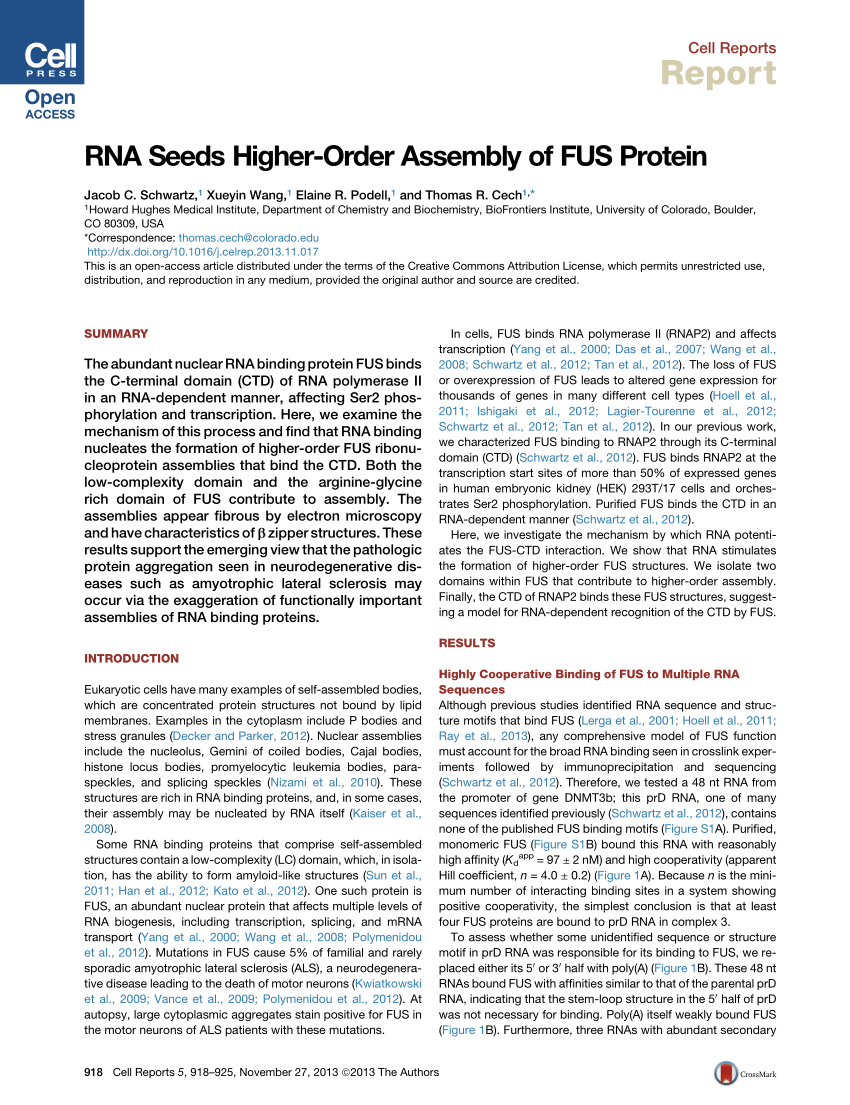 fus protein scaffold and client
