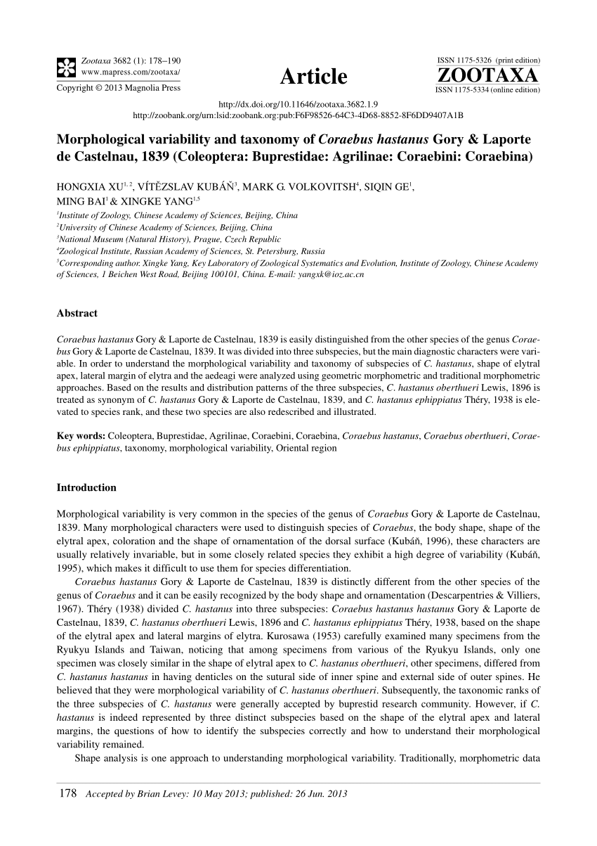 PDF) Morphological variability and taxonomy of Coraebus hastanus ...