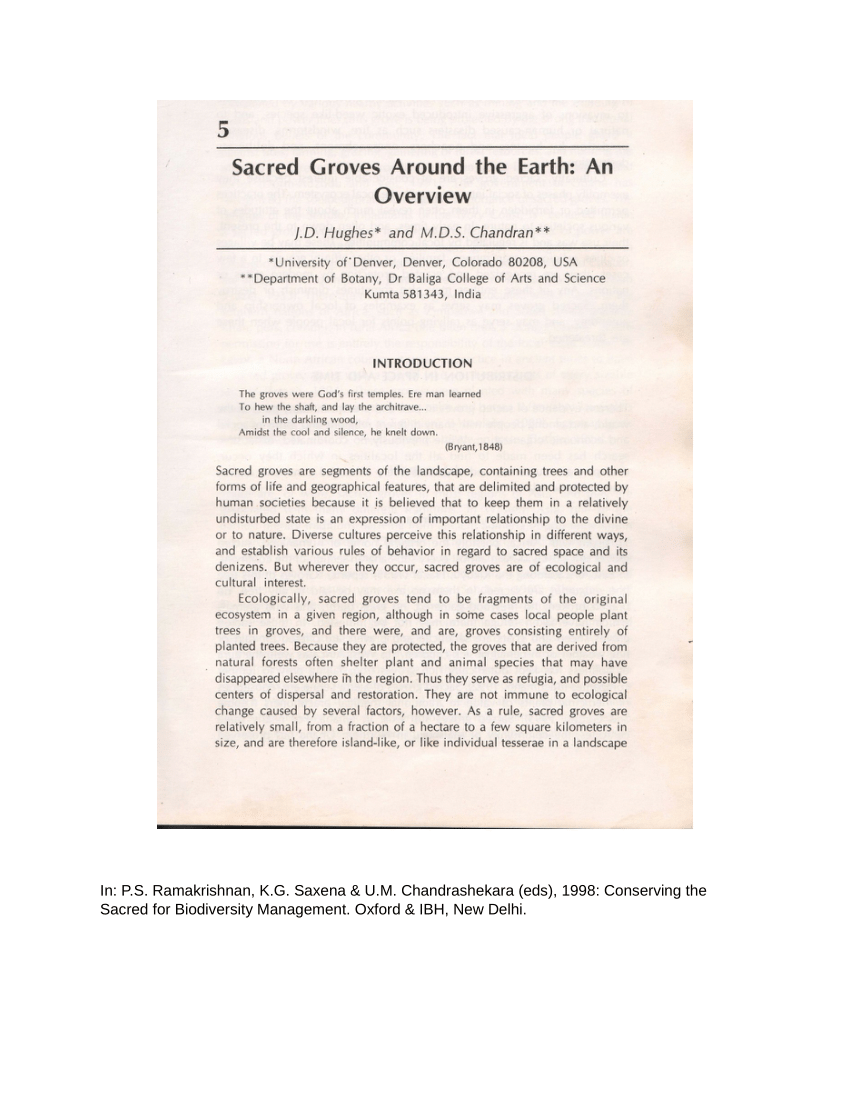 (PDF) Sacred groves around the earth an overview