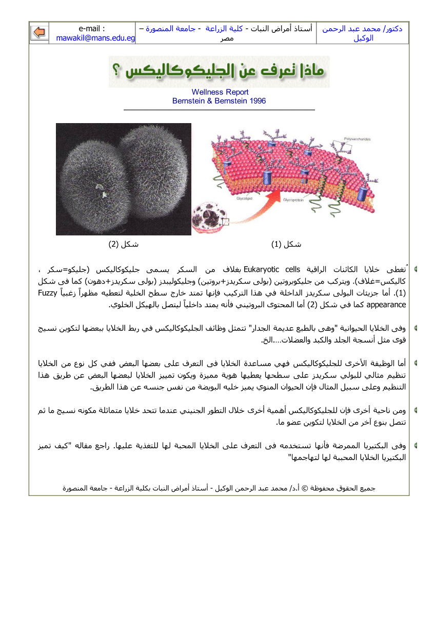Pdf Fact Sheet Elwakil M A 1996 Glycocalyx In The Living