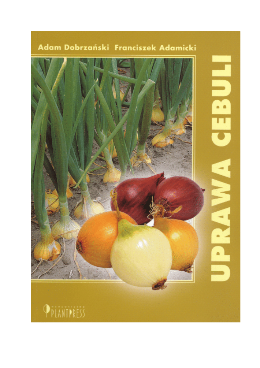 (PDF) Uprawa cebuli