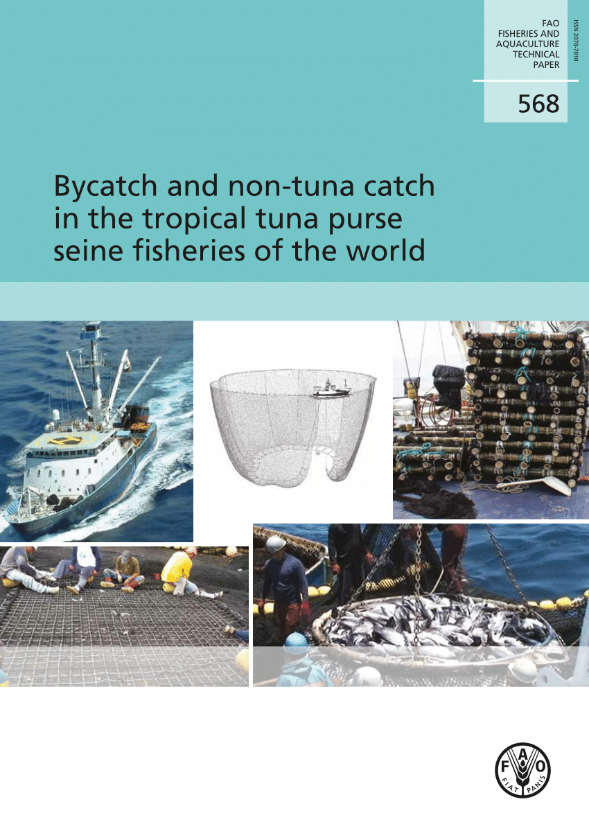 Conserving Tuna: The Most Commercially Valuable Fish on Earth – Fish,  Fishing, and Conservation