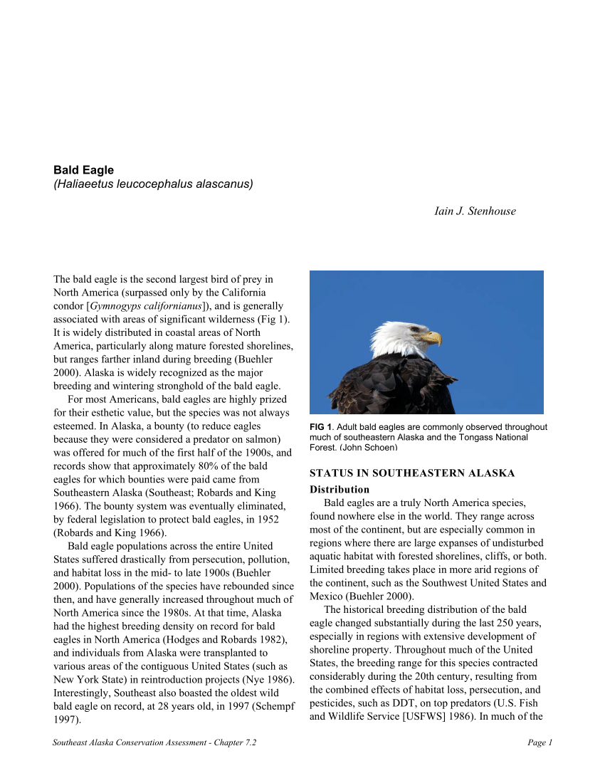 PDF) Bald Eagle (Haliaeetus leucocephalus alascanus)