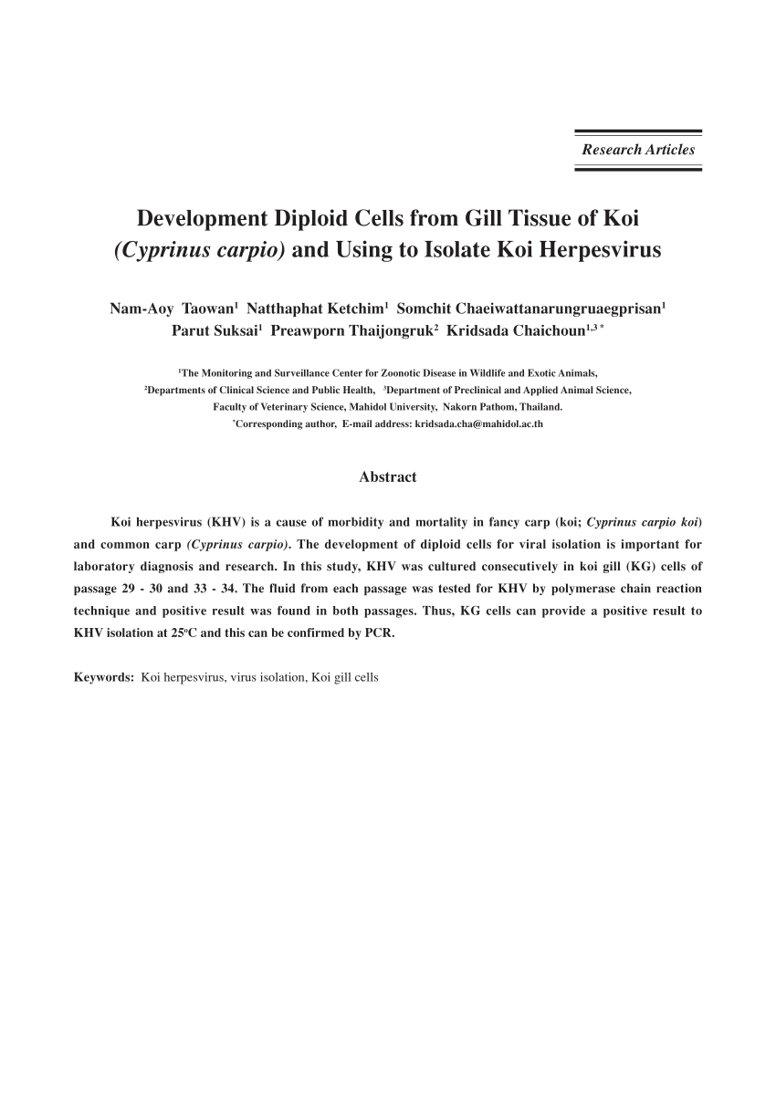 Pdf Development Diploid Cells From Gill Tissue Of Koi Cyprinus Carpio And Using To Isolate Koi Herpesvirus