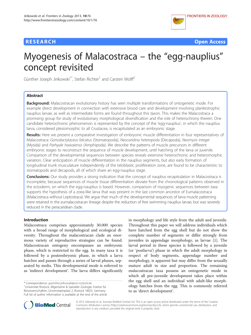 Pdf Myogenesis Of Malacostraca The Egg Nauplius Concept Revisited