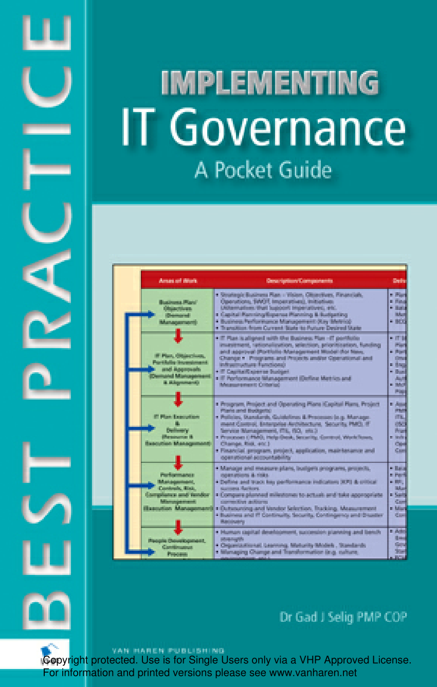 CIS 4203 IT Strategy and IT Governance Project, PDF