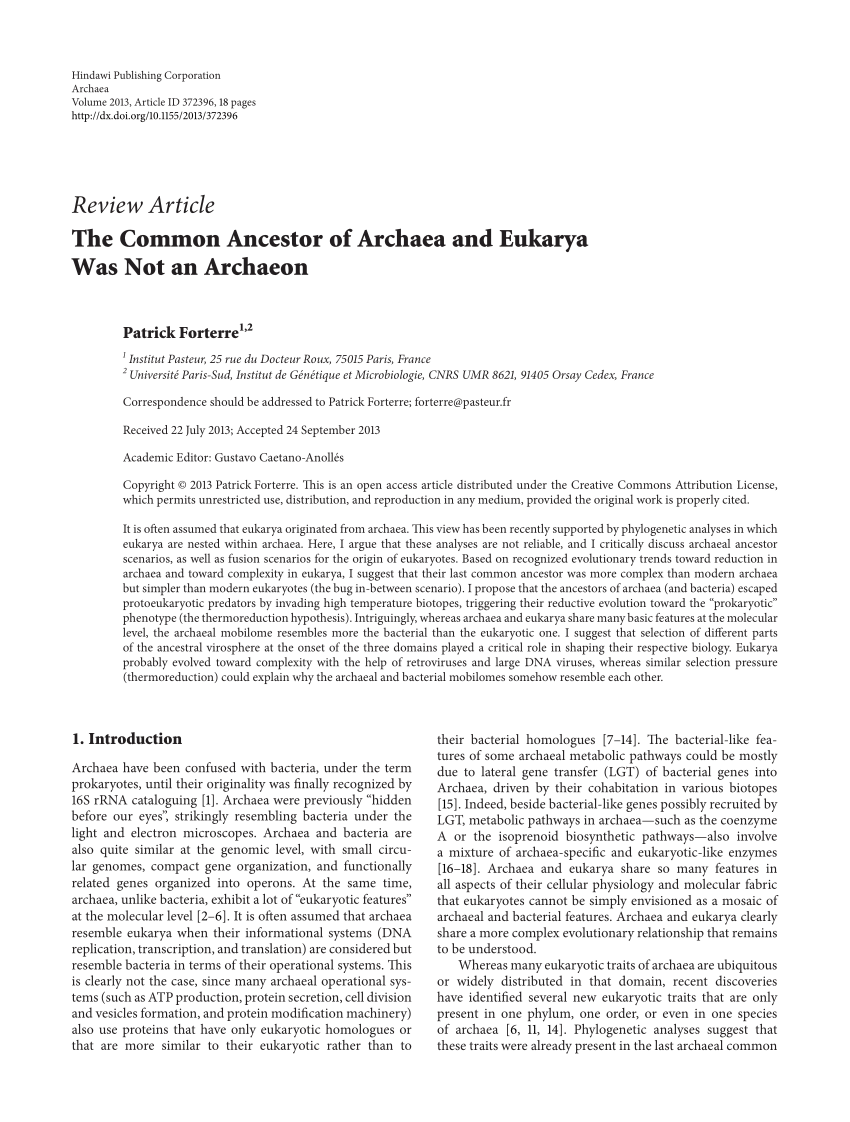 PDF The Common Ancestor of Archaea and Eukarya Was Not an Archaeon