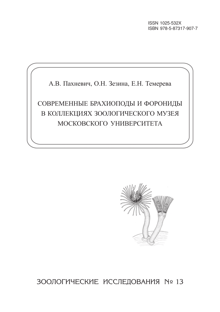 PDF) Recent brachiopods and phoronids in the collection of ...