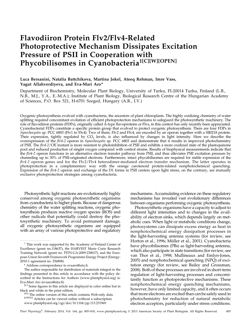 Pdf Flavodiiron Protein Flv2 Flv4 Related Photoprotective Mechanism Dissipates Excitation Pressure Of Psii In Cooperation With Phycobilisomes In Cyanobacteria