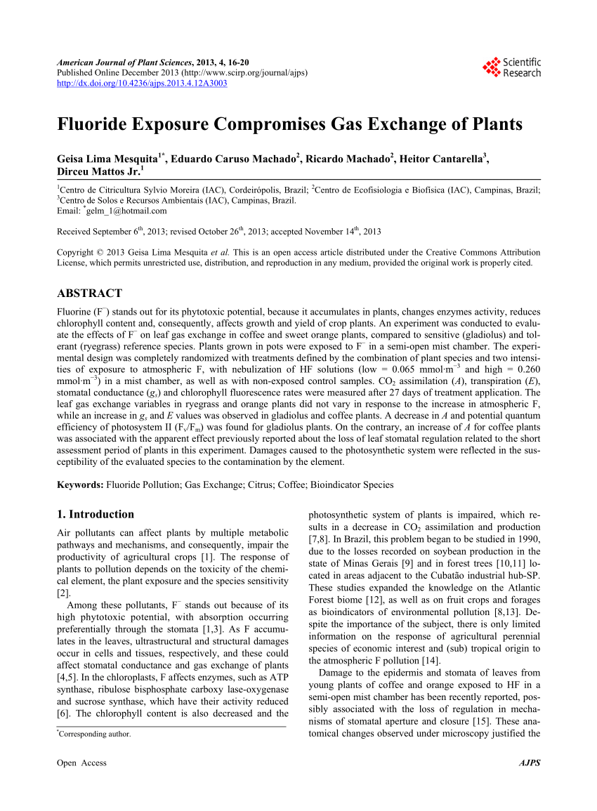 PDF Fluoride Exposure Compromises Gas Exchange of Plants