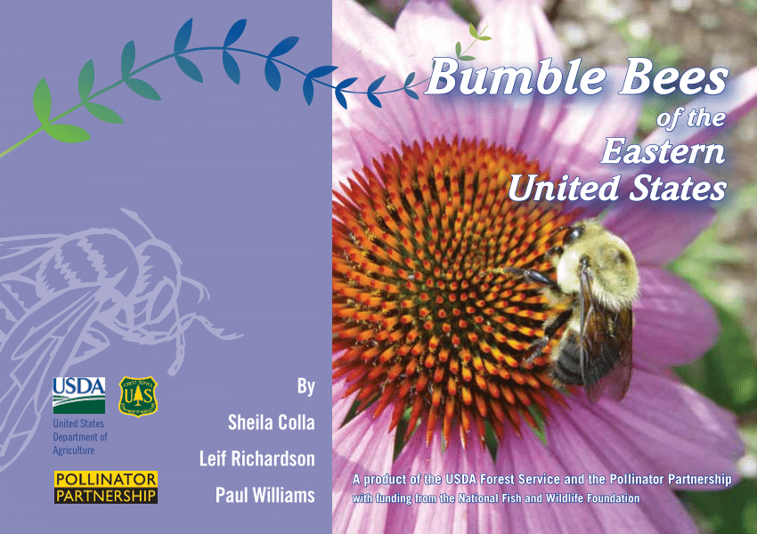 Bumble Bees of Alaska: A Field Guide (U.S. National Park Service)