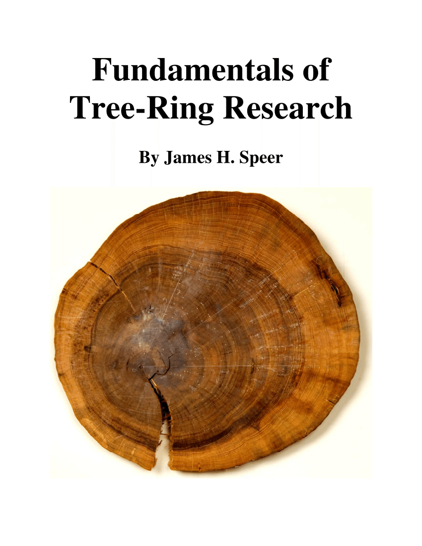 What Tree Rings Can Tell Us: An Interview with Dendrochronologist Stockton  Maxwell — Ravel