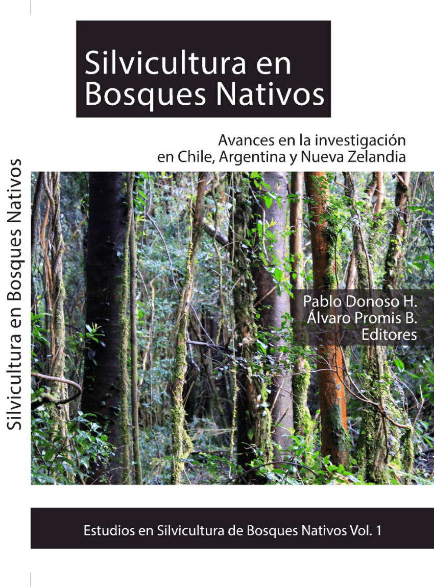 Árboles nativos, Cascada, sur de Chile, Encontraste Limitada