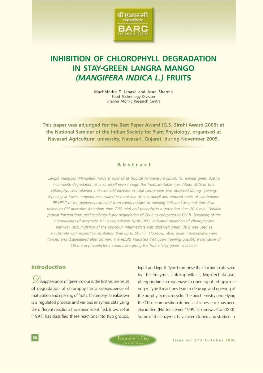 PDF) Inhibition of chlorophyll degradation in stay-green Langra mango  (Mangifera indica L.) fruits