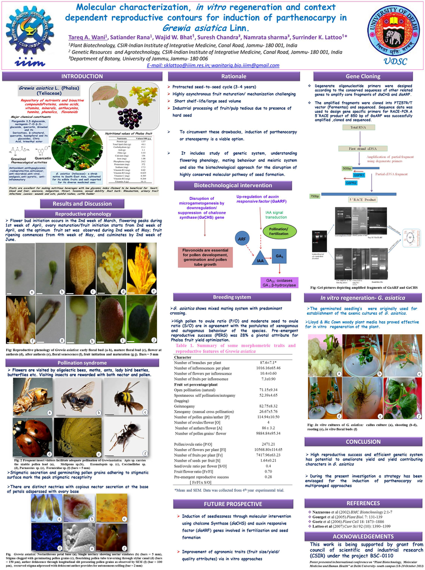 (PDF) Presented poster in International conference on "Plant