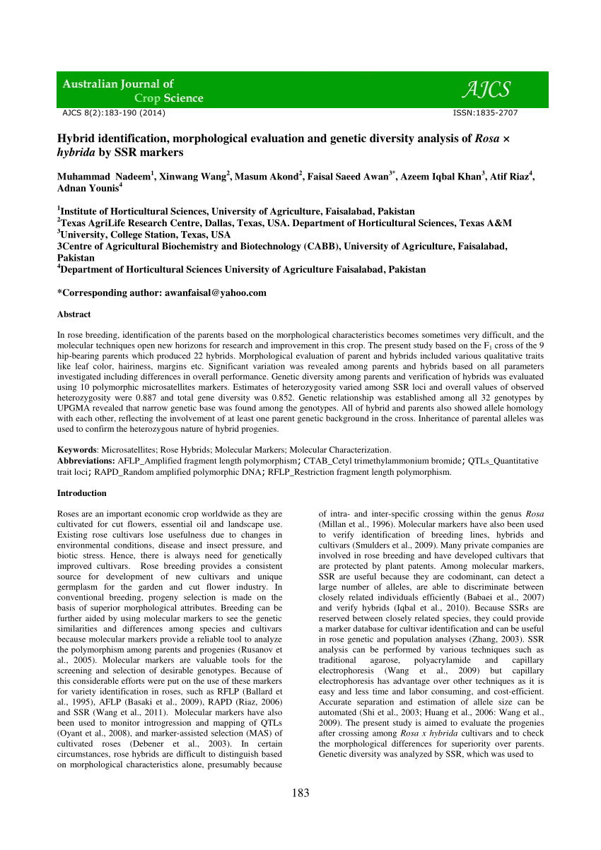 (PDF) Hybrid identification, morphological evaluation and genetic ...