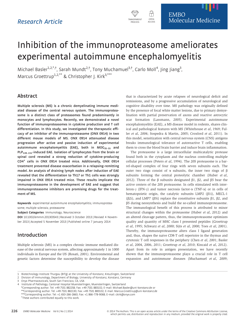 Pdf Inhibition Of The Immunoproteasome Ameliorates Experimental