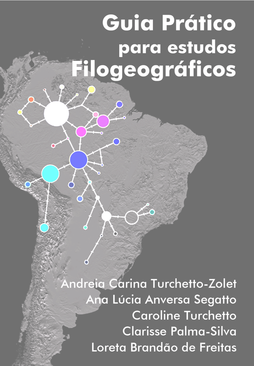 GTA 6: comparação de suposto mapa sugere grande aumento de tamanho