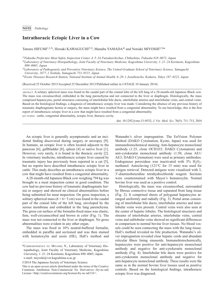 Immunohistochemical Staining In Formalinfixed Paraffin Embedded Download Table