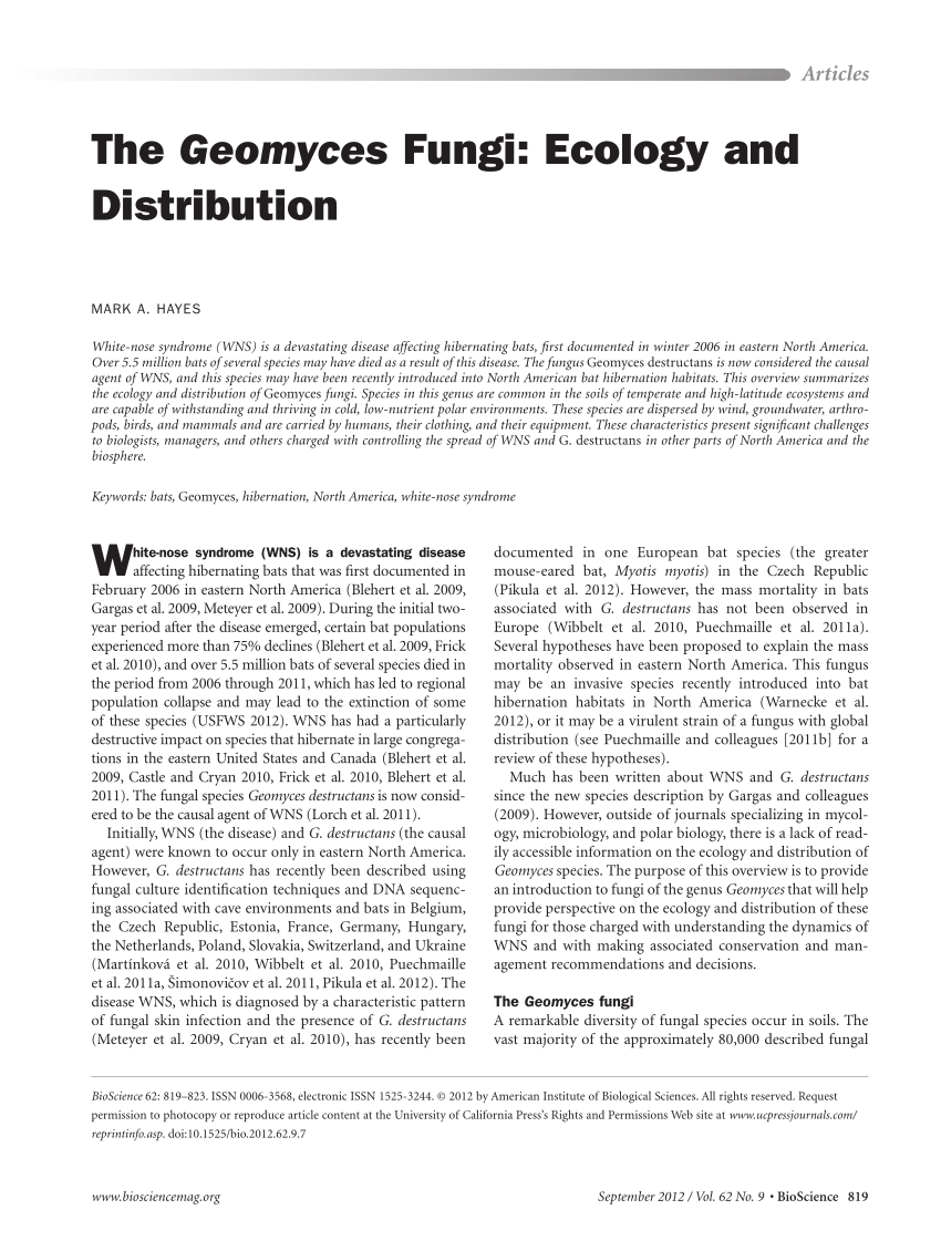 research paper on fungi pdf