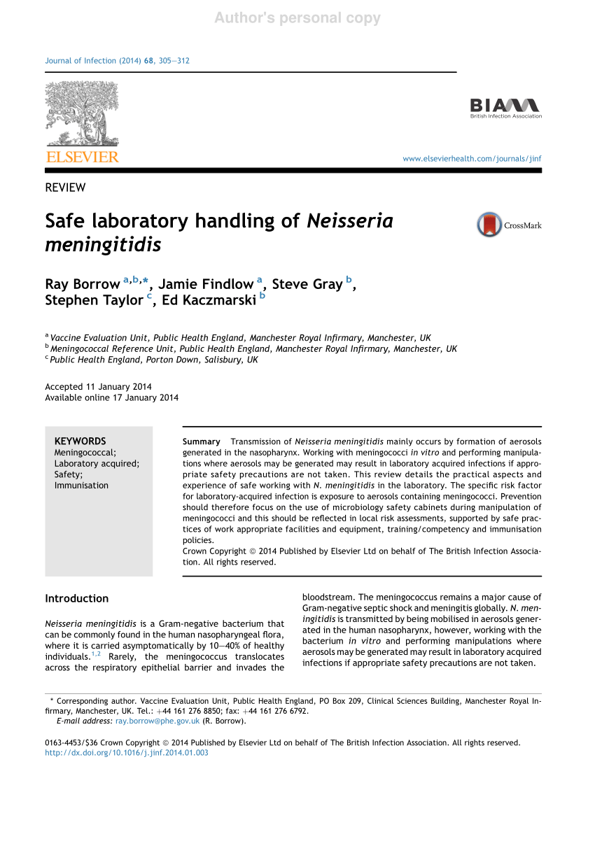 Pdf Safe Laboratory Handling Of Neisseria Meningitidis