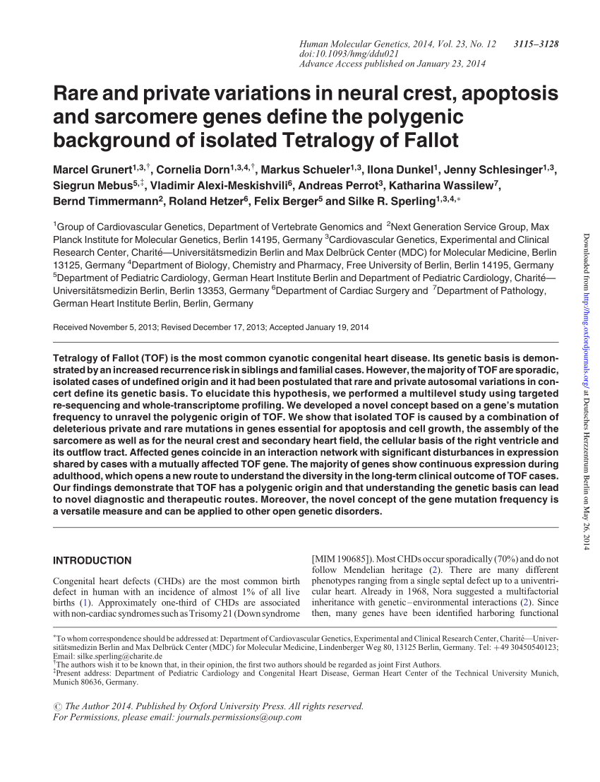Pdf Rare And Private Variations In Neural Crest Apoptosis And Sarcomere Genes Define The Polygenic Background Of Isolated Tetralogy Of Fallot