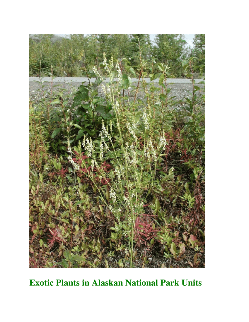 PDF) Exotic plants in Alaskan National Park Units