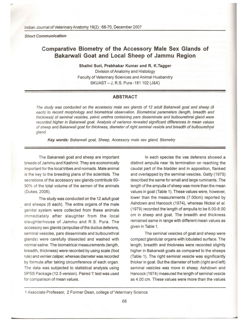 PDF) Comparative biometry of the accessory male sex glands of bakarwali  goat and local sheep of Jammu region