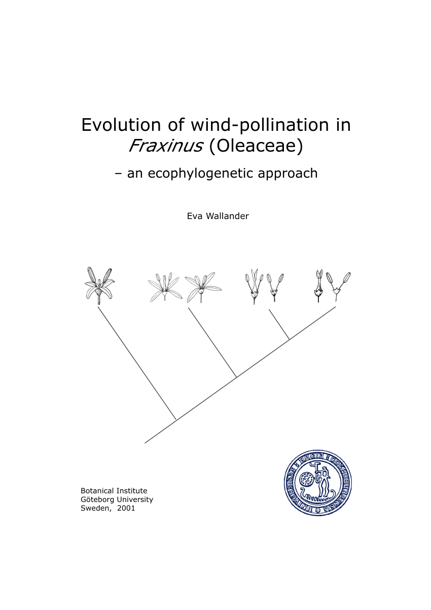 PDF) Evolution of wind-pollination in Fraxinus (Oleaceae): an approach. thesis