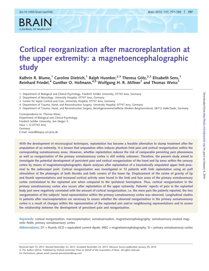 Pdf Cortical Reorganization After Macroreplantation At The Upper