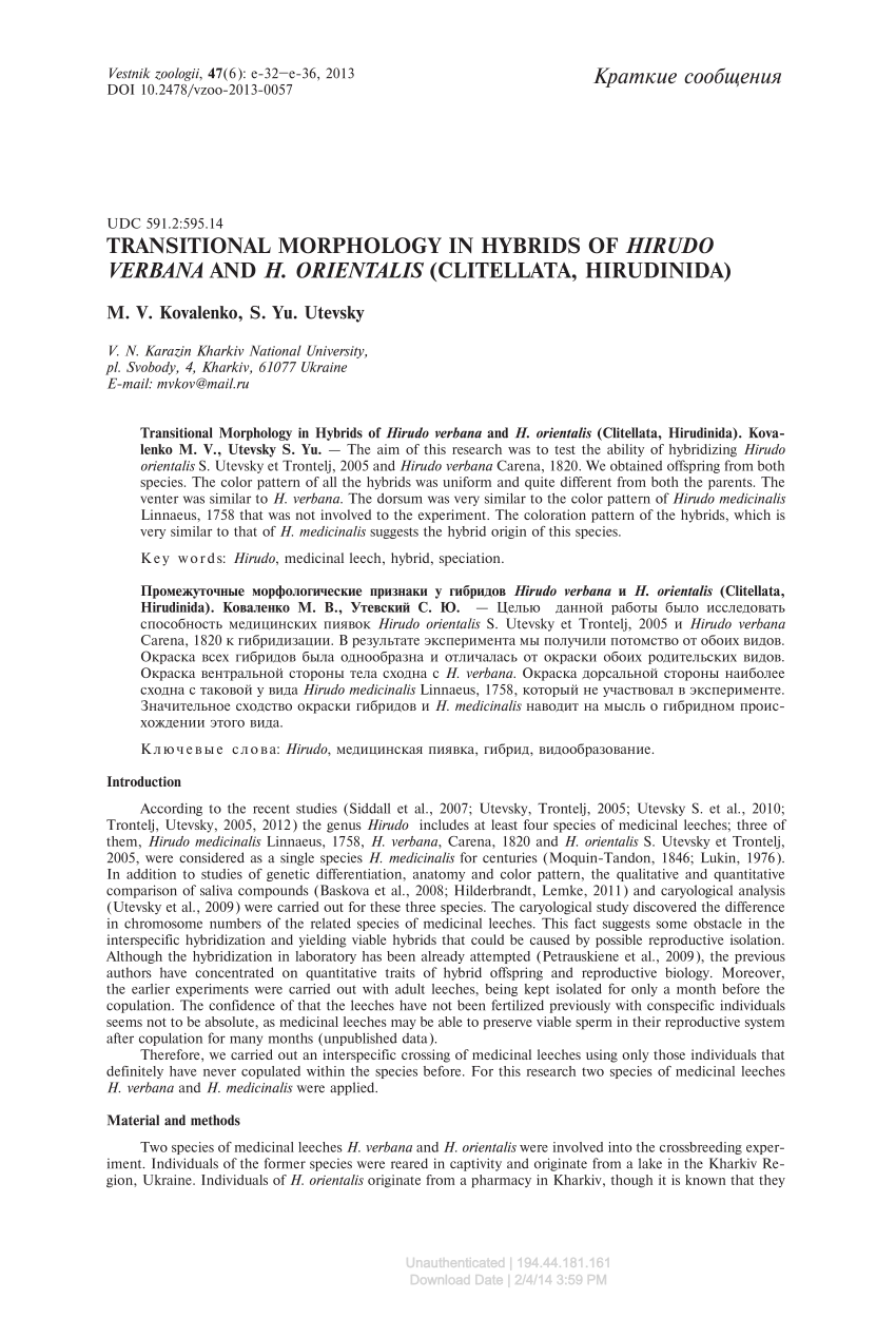 Pdf Transitional Morphology In Hybrids Of Hirudo Verbana And H Orientalis Clitellata Hirudinida