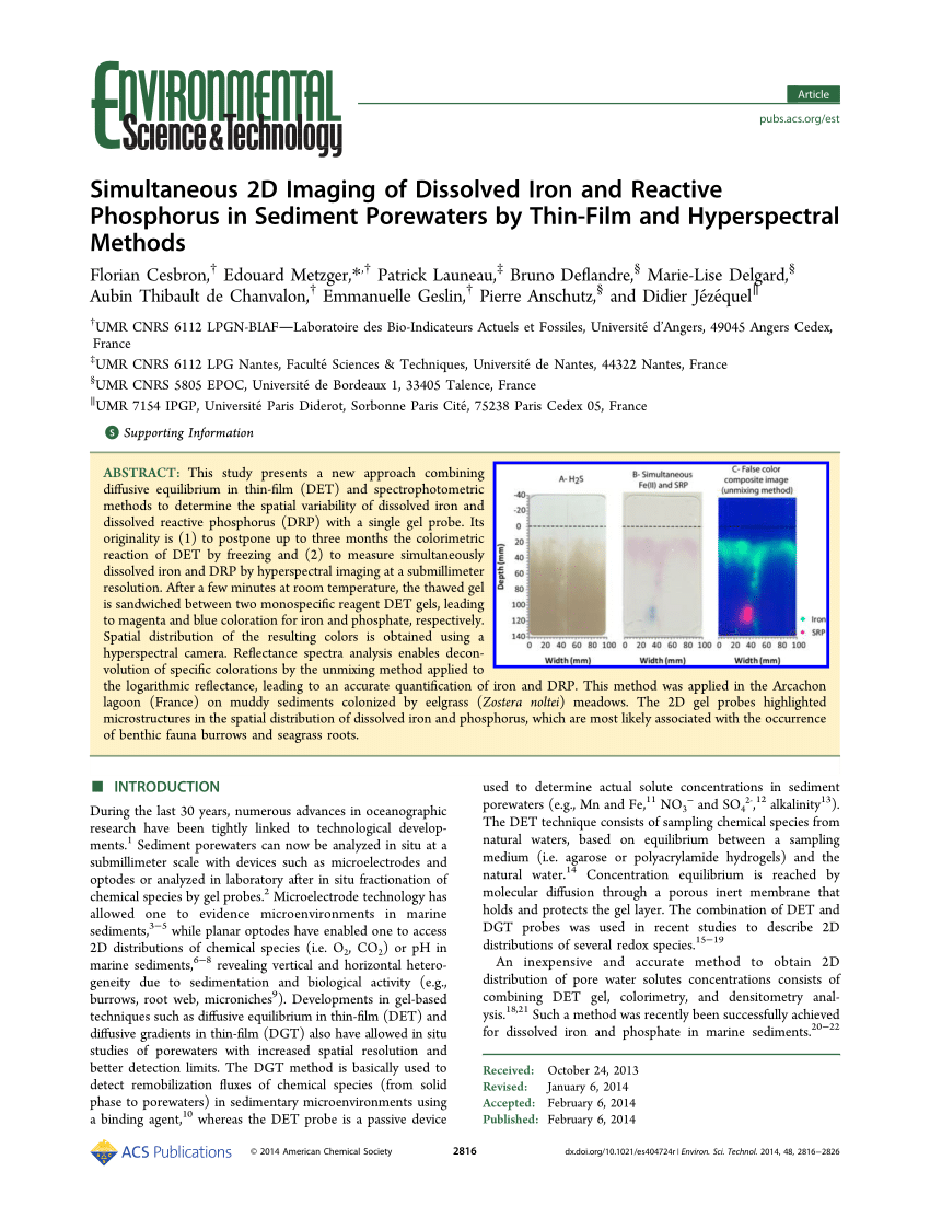 Pdf Simultaneous 2d Imaging Of Dissolved Iron And Reactive