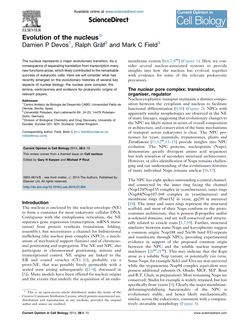 (PDF) Evolution of the nucleus