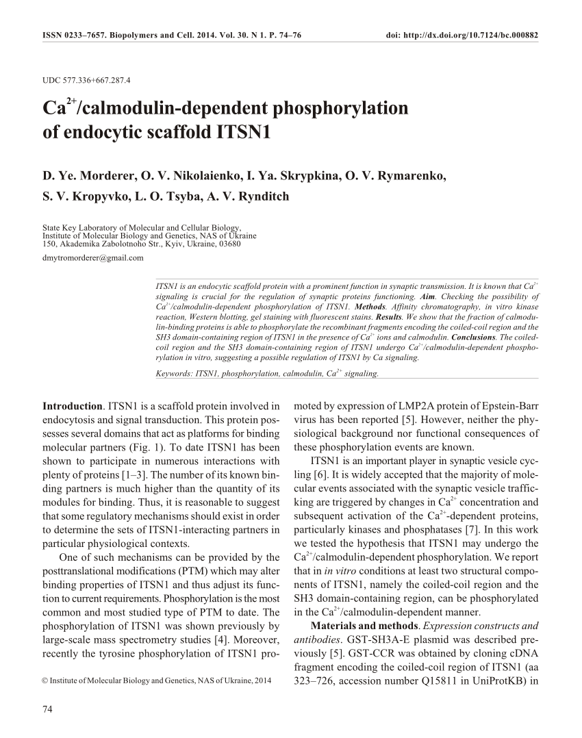 Pdf Ca Calmodulin Dependent Phosphorylation Of Endocytic Scaffold Itsn1