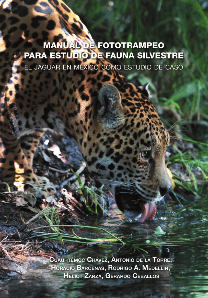 PDF) MANUAL DE FOTOTRAMPEO PARA ESTUDIO DE FAUNA SILVESTRE