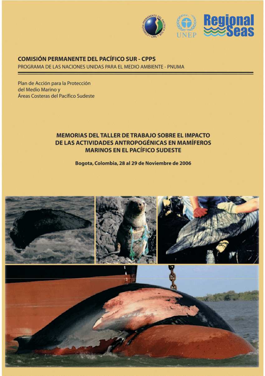 Sernapesca] Blue Whale Stranded in Chaitén is Confirmed Dead Due to Ship  Strike