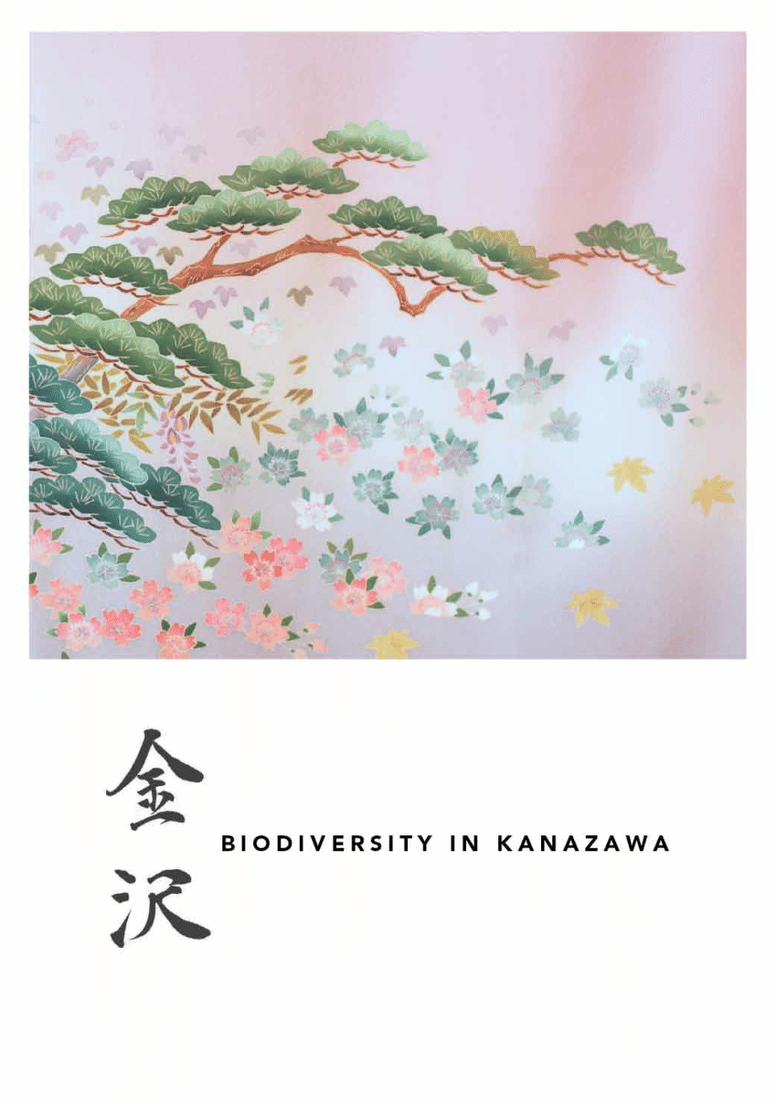 PDF) Biodiversity in Kanazawa: Through the Four Seasons