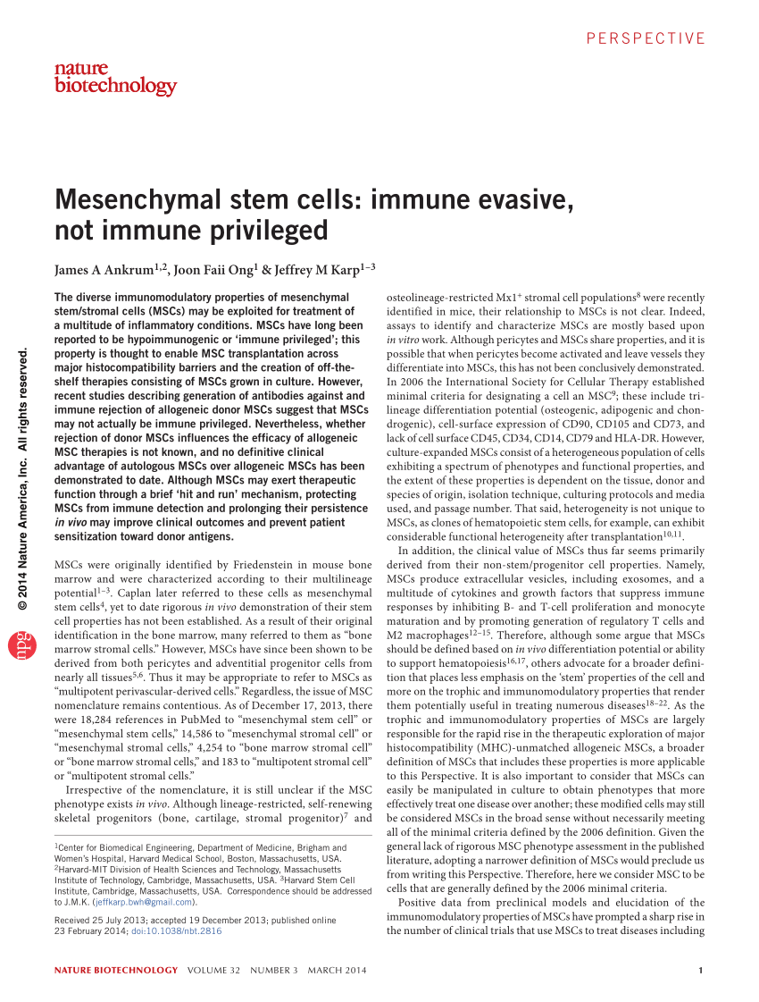 PDF Mesenchymal Stem Cells Immune Evasive Not Immune Privileged