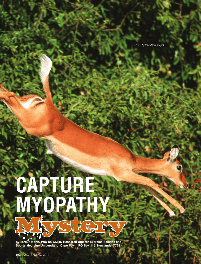 PDF) Capture myopathy mystery